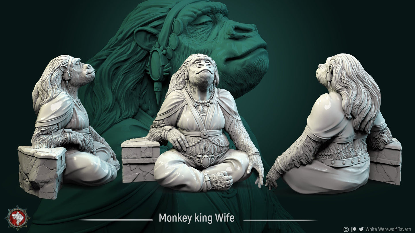 Monkey King Court from "Monkey Valley" by White Werewolf Tavern Miniatures RPG