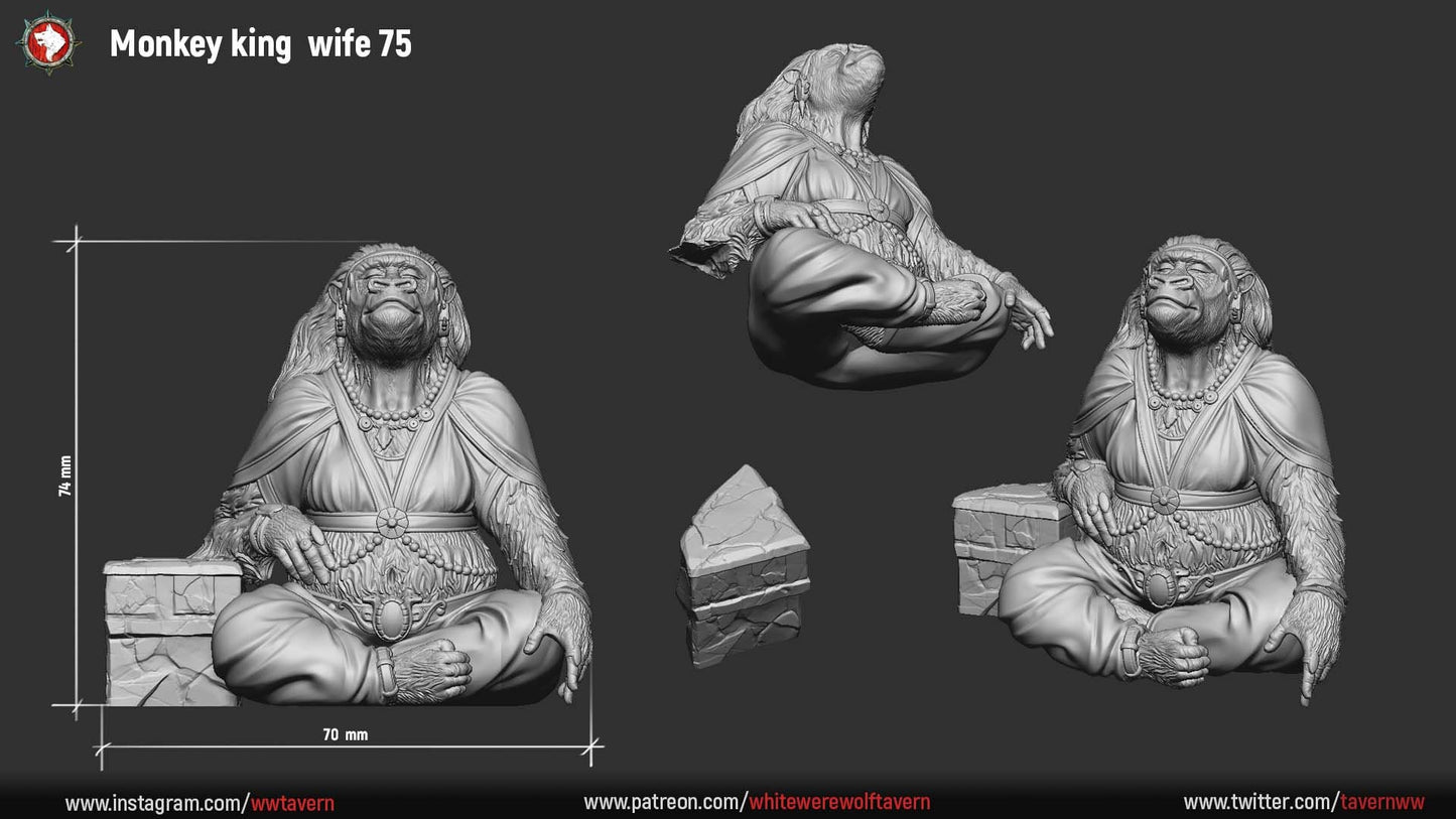 Monkey King Court from "Monkey Valley" by White Werewolf Tavern Miniatures RPG