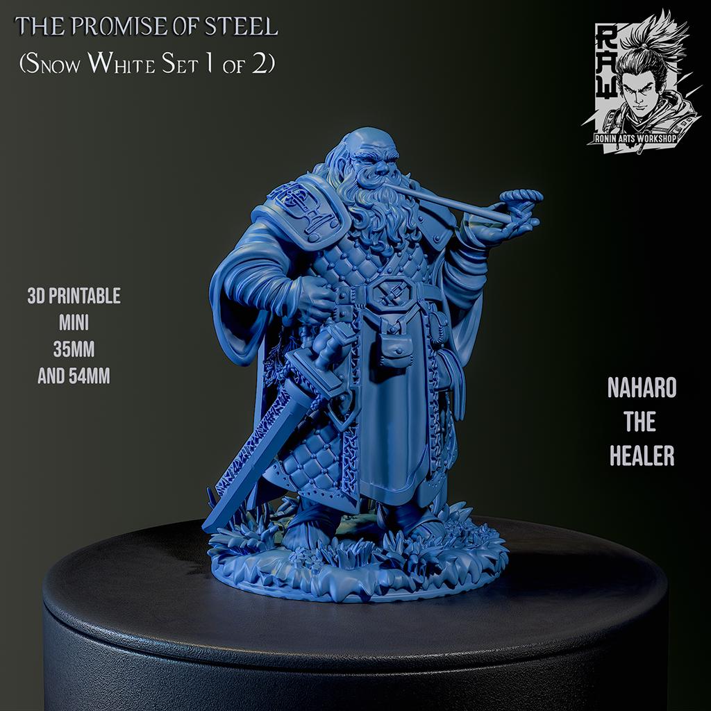 Naharo The Healer - Dwarf by Ronin Arts Workshop Miniatures