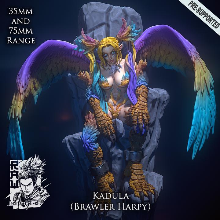 Kadula - Brawler Harpy Ronin Arts Workshop