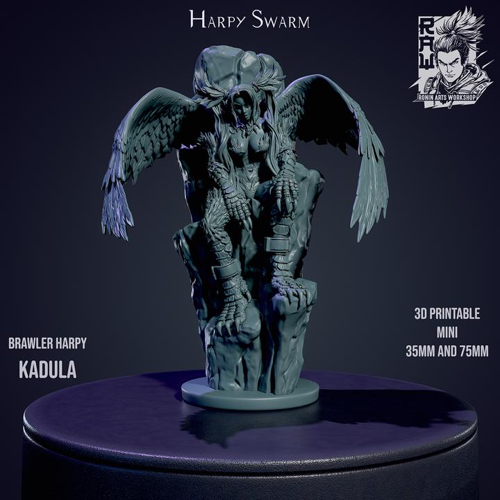 Kadula - Brawler Harpy Ronin Arts Workshop