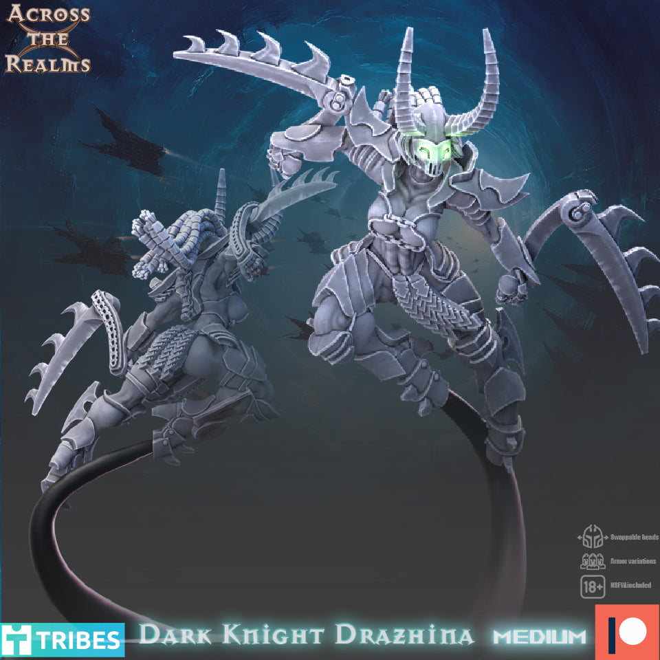 Dark Knight Drazhina by Across the Realms Miniatures