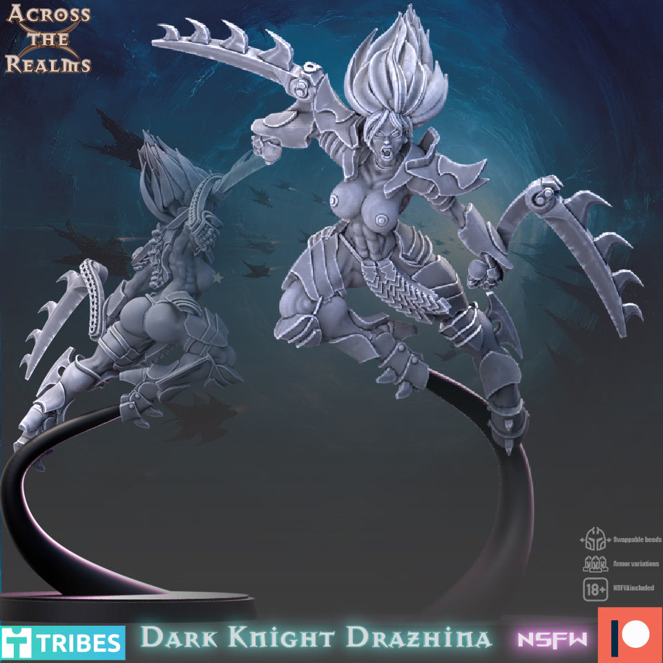 Dark Knight Drazhina by Across the Realms Miniatures